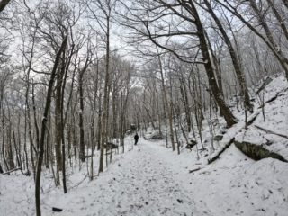Hiking Balsam Mountain