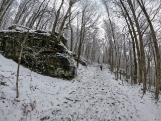 Hiking Balsam Mountain