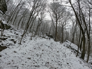 Hiking Balsam Mountain