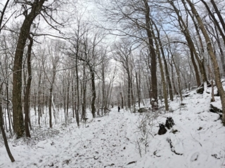 Hiking Balsam Mountain