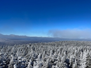 Hiking Balsam Mountain