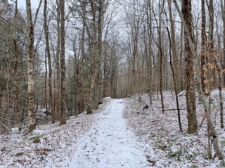 Hunter Mountain Tower - Catskills Fire Tower Challenge 2024 Hiking Hunter Mountain Fire Tower