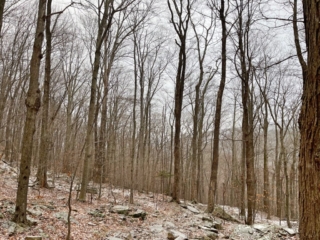Hunter Mountain Tower - Catskills Fire Tower Challenge 2024 Hiking Hunter Mountain Fire Tower