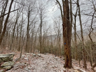 Hunter Mountain Tower - Catskills Fire Tower Challenge 2024 Hiking Hunter Mountain Fire Tower