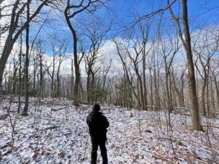 Mt Tremper Mountain Fire Tower