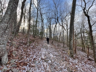 Mt. Tremper Mountain Fire Tower - Catskills Fire Tower Challenge 2024 Mt Tremper Mountain Fire Tower