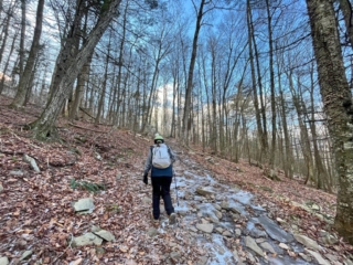 Mt. Tremper Mountain Fire Tower - Catskills Fire Tower Challenge 2024 Mt Tremper Mountain Fire Tower