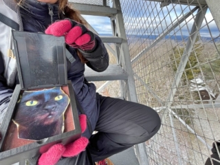 Red Hill Fire Tower - Catskills Fire Tower Challenge 2024 Hiking Red Hill Fire Tower