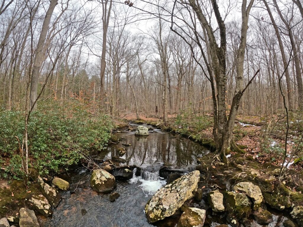 Stokes State Forest Hike Stokes State Forest Trail