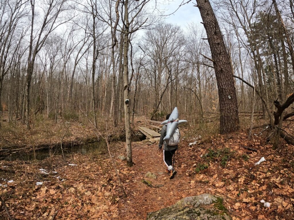 Stokes State Forest Hike Stokes State Forest Trail