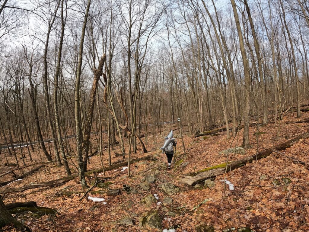 Stokes State Forest Hike Stokes State Forest Trail