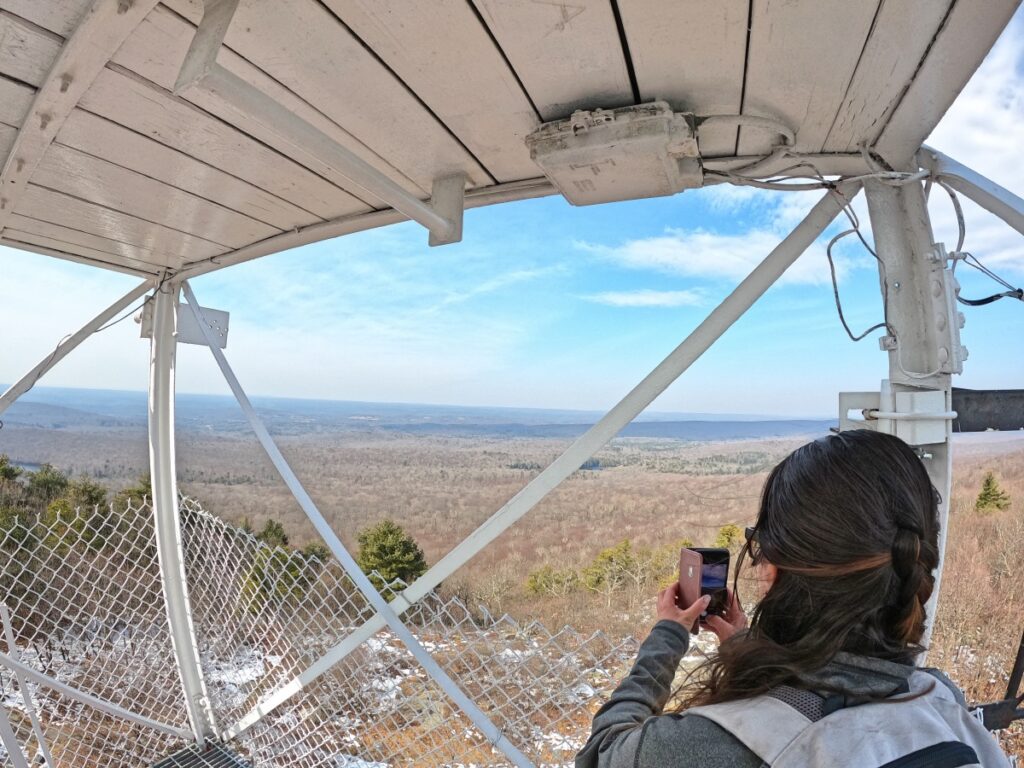 Stokes State Forest Hike Stokes State Forest Trail
