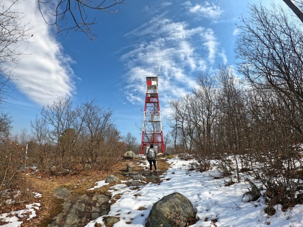 Stokes State Forest Hike Stokes State Forest Trail