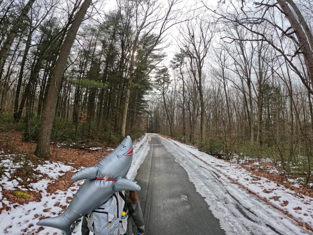 Stokes State Forest Trail