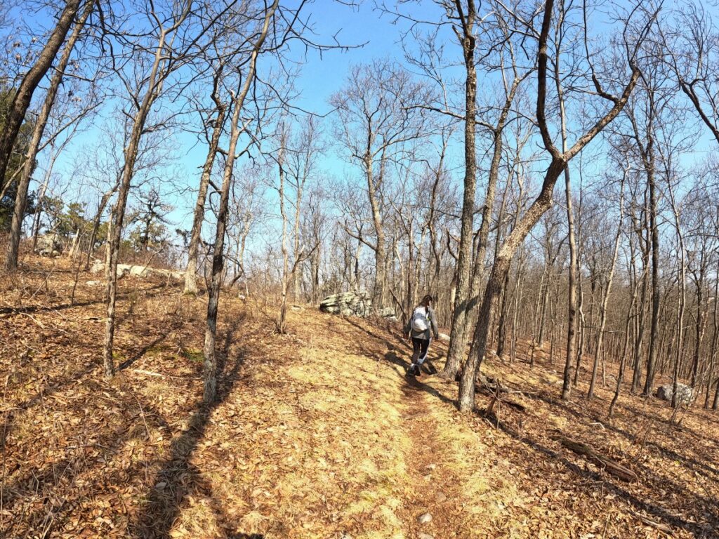 Stokes State Forest Hike Stokes State Forest Trail