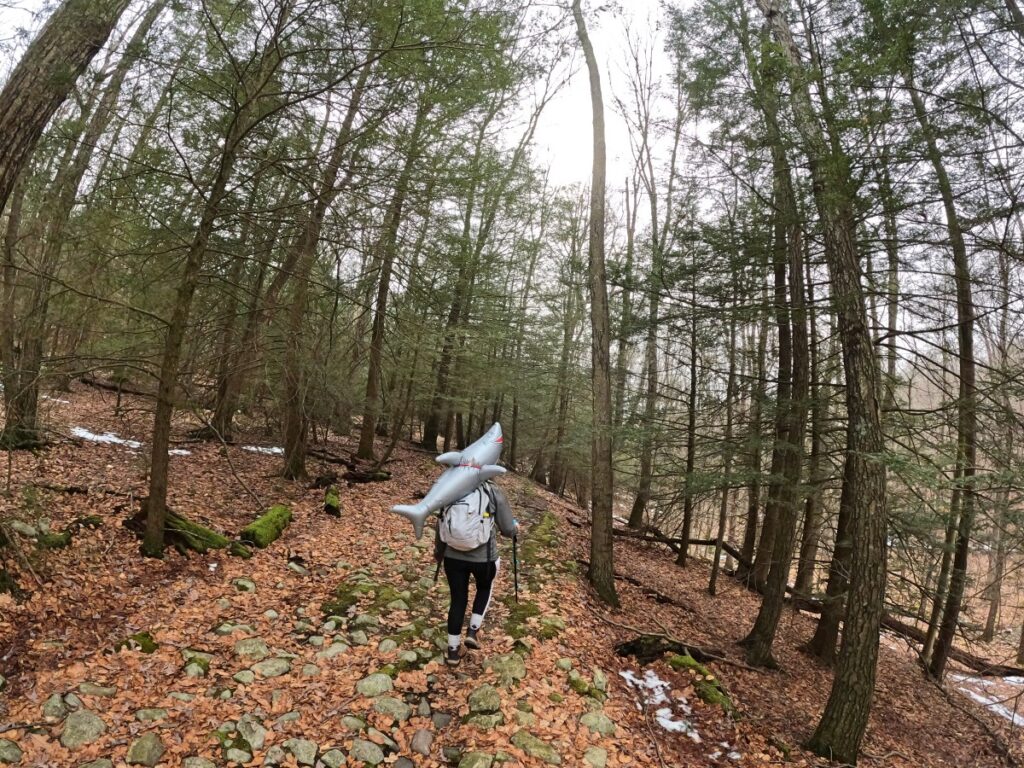 Stokes State Forest Trail