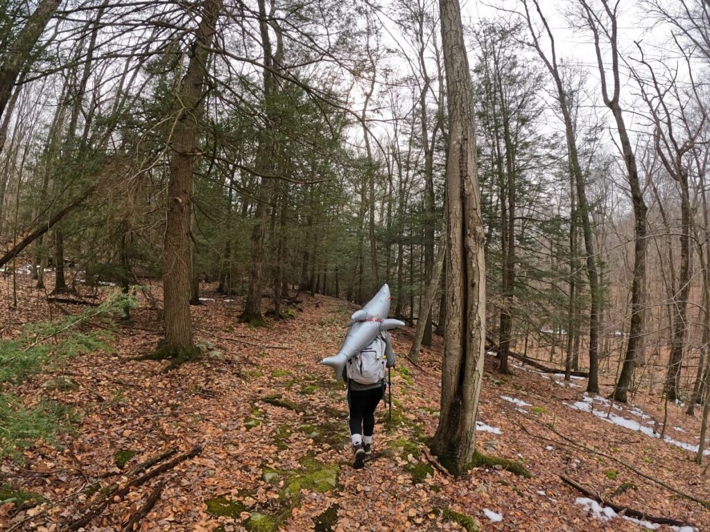 Stokes State Forest Trail