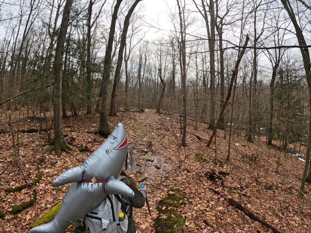 Stokes State Forest Trail