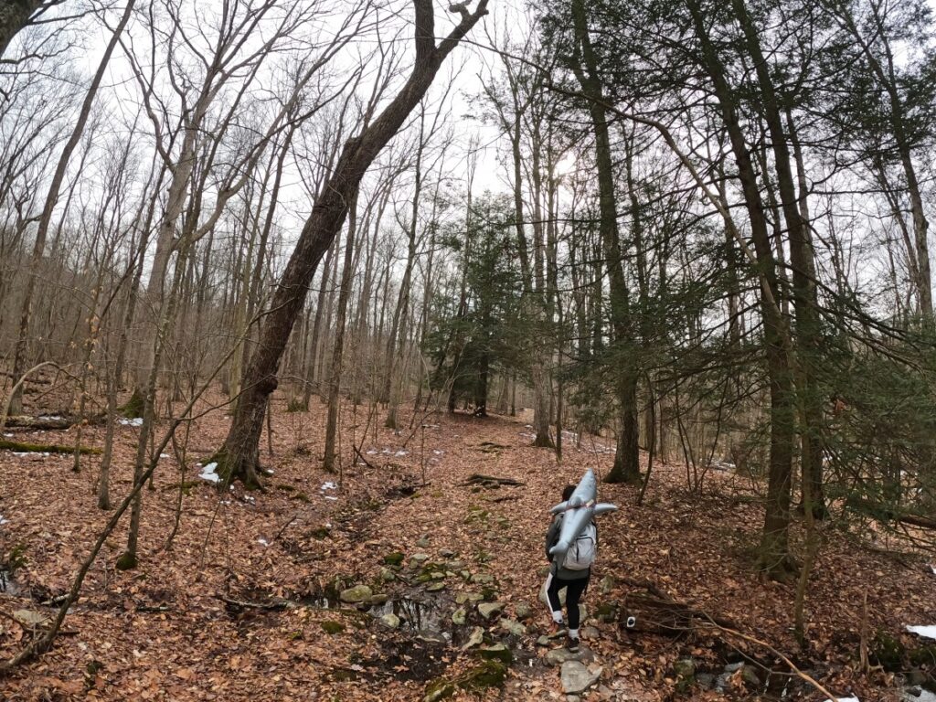 Stokes State Forest Hike Stokes State Forest Trail