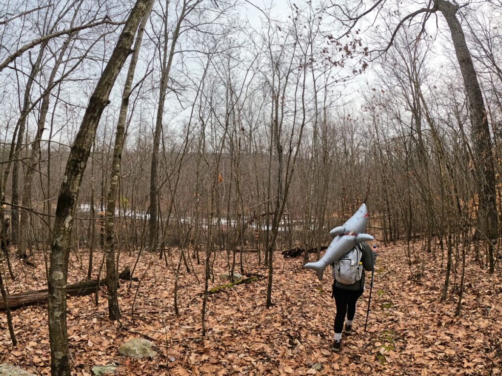 Stokes State Forest Hike Stokes State Forest Trail