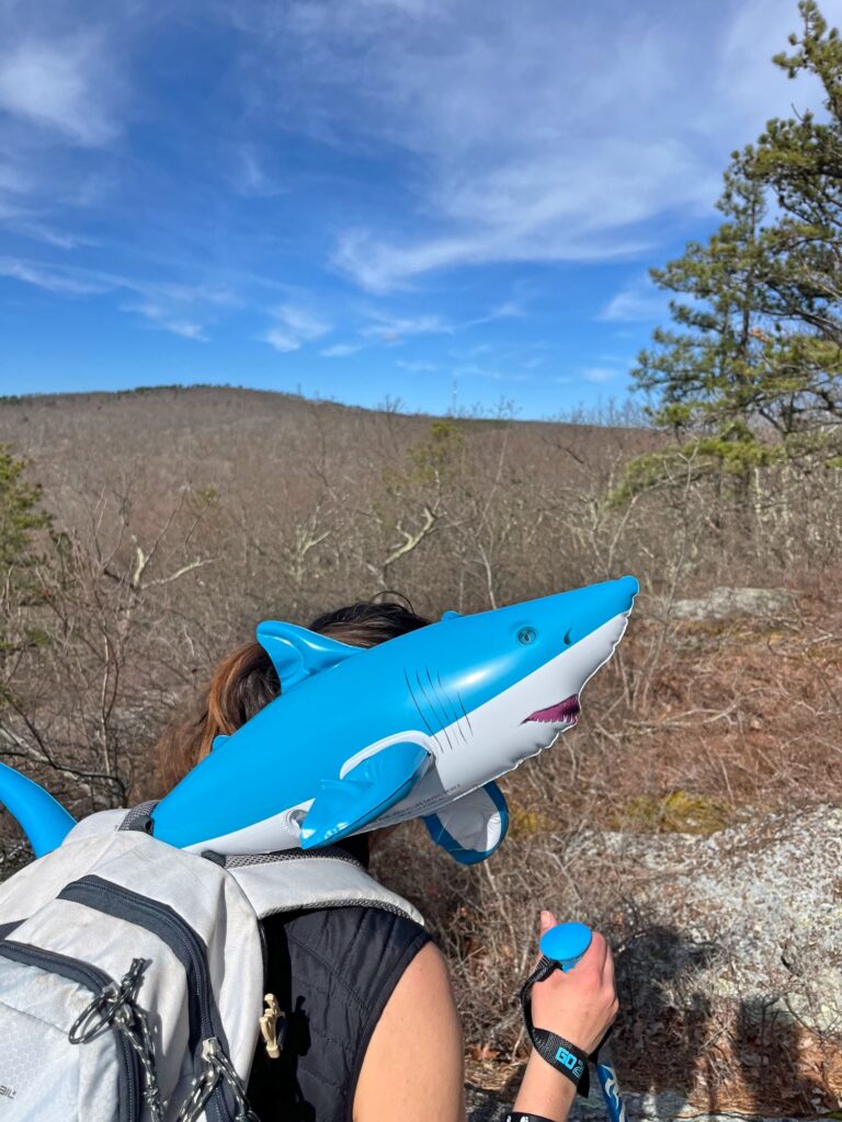 Long Path Section 12