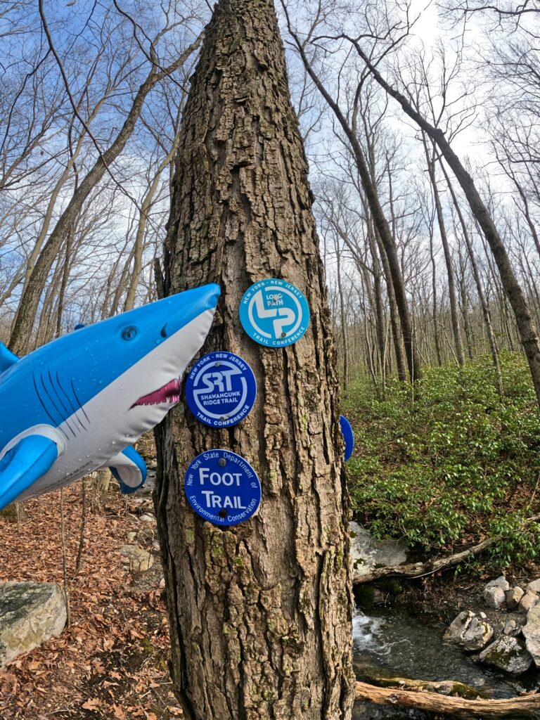 Long Path Section 12