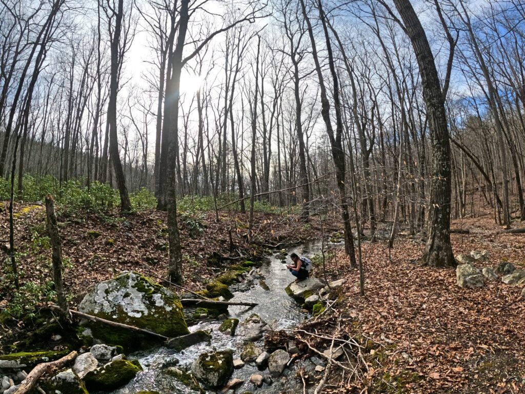 Long Path Section 12