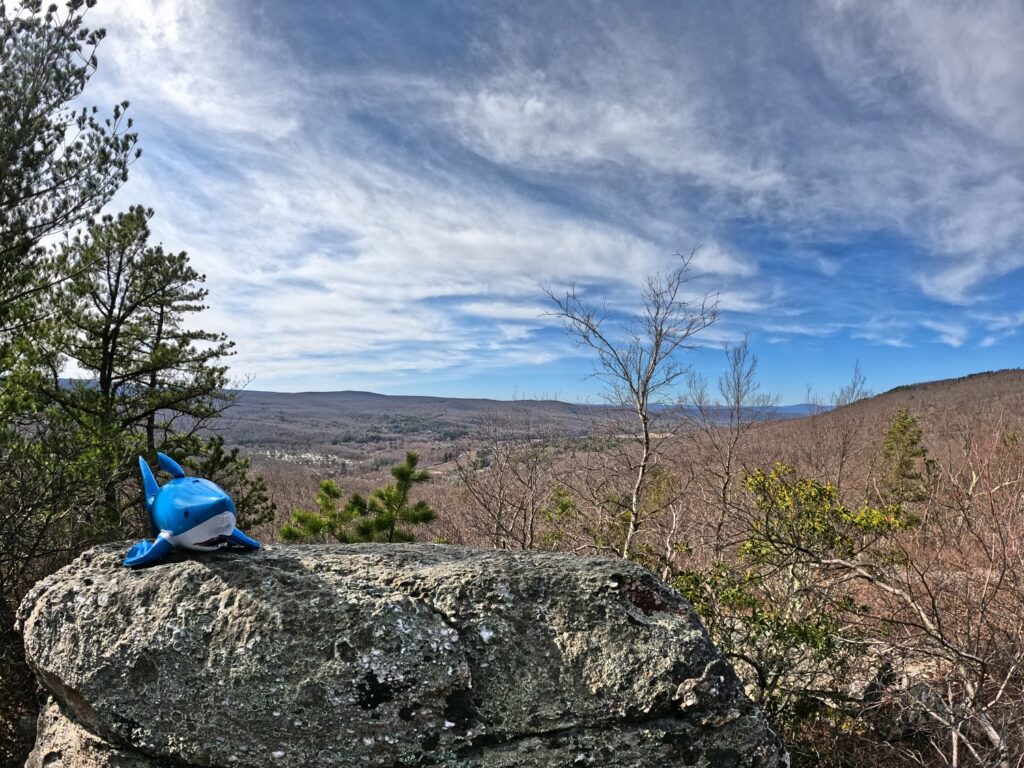 Long Path Section 12