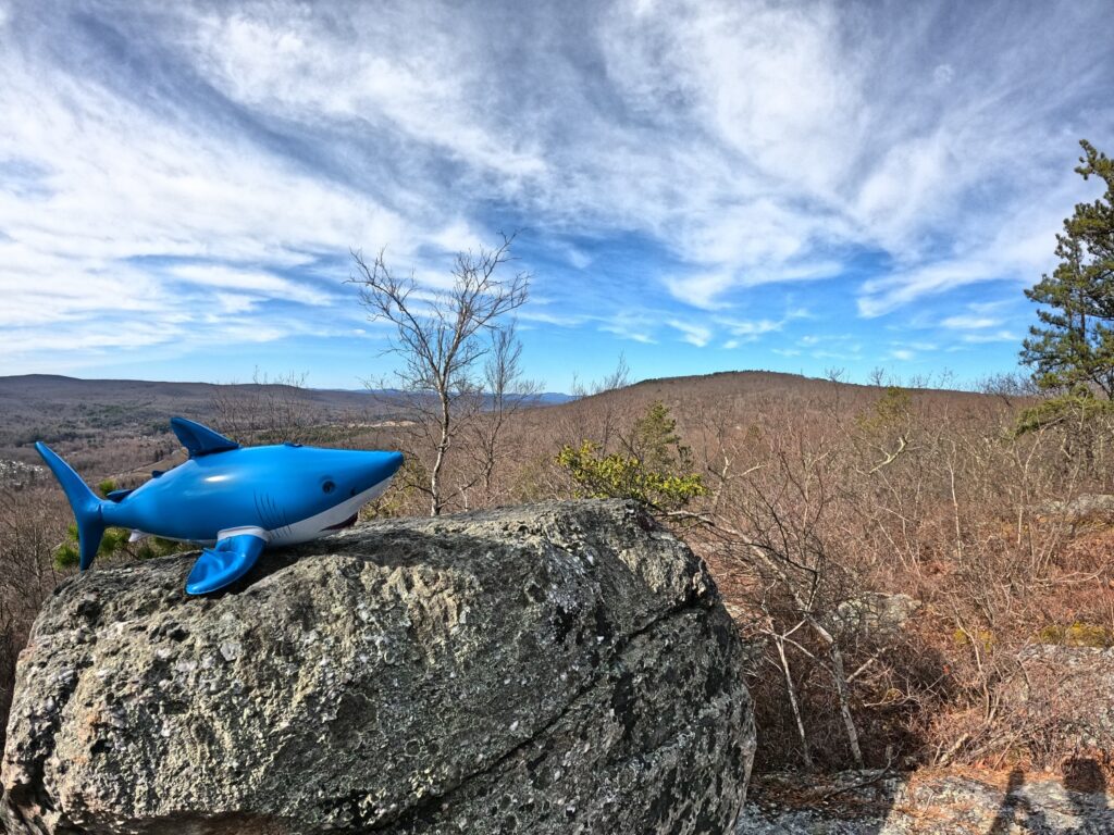 Long Path Section 12