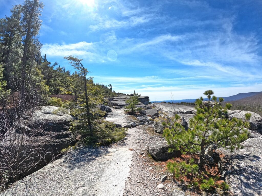 Gertrude's Nose and Millbrook Mountain Loop