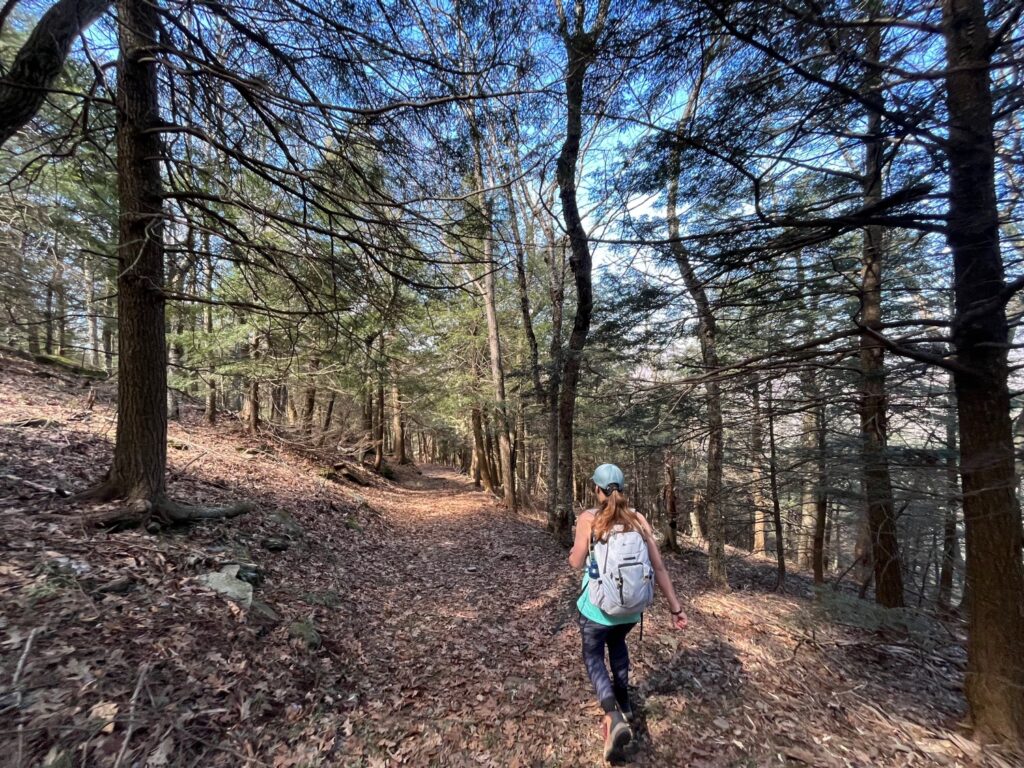 MT. Tremper Fire Tower Hike Catskills Fire Towers