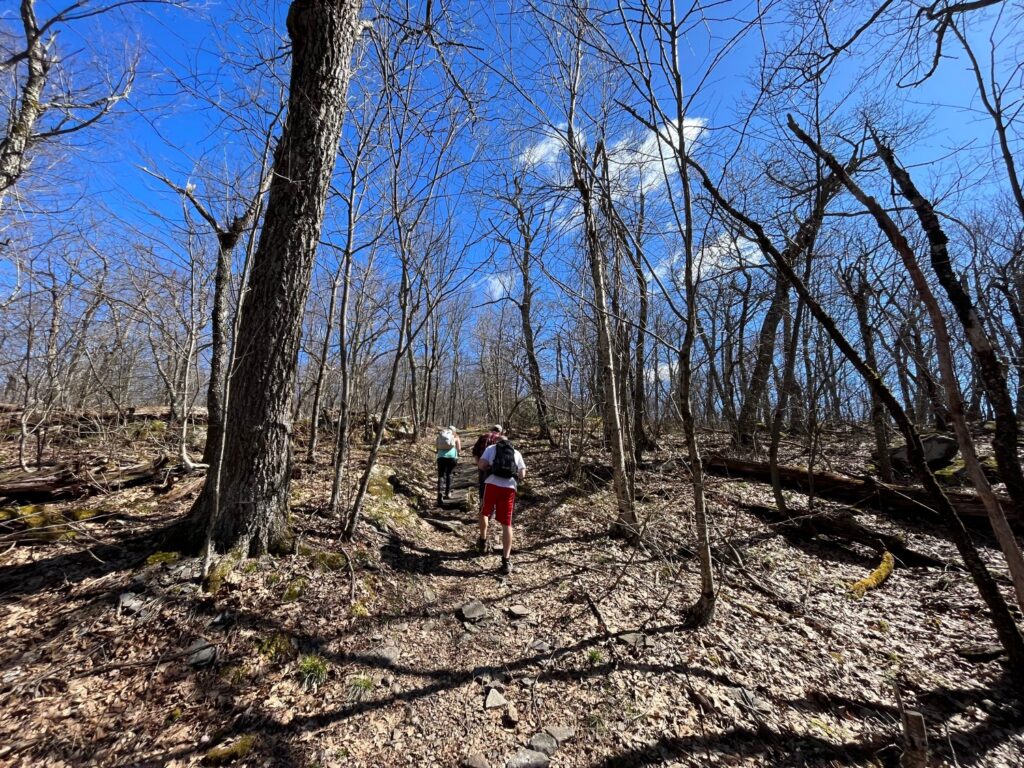 MT. Tremper Fire Tower Hike Catskills Fire Towers