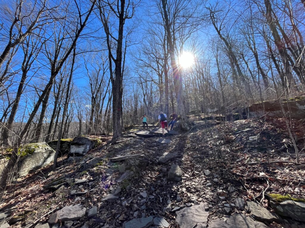 MT. Tremper Fire Tower Hike Catskills Fire Towers
