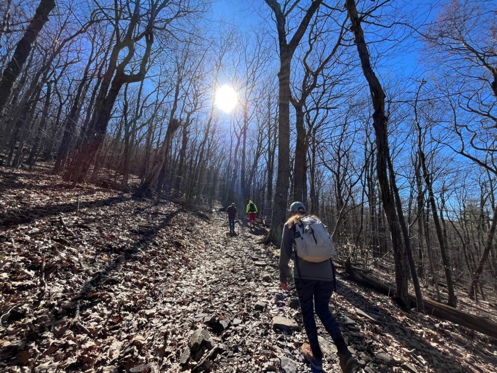 MT. Tremper Fire Tower Hike Catskills Fire Towers