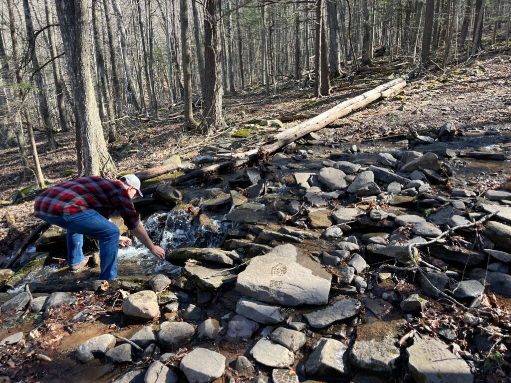 MT. Tremper Fire Tower Hike Catskills Fire Towers