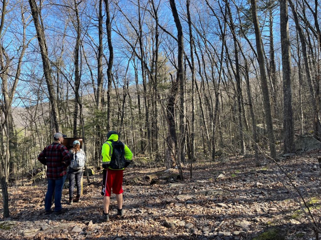 MT. Tremper Fire Tower Hike Catskills Fire Towers