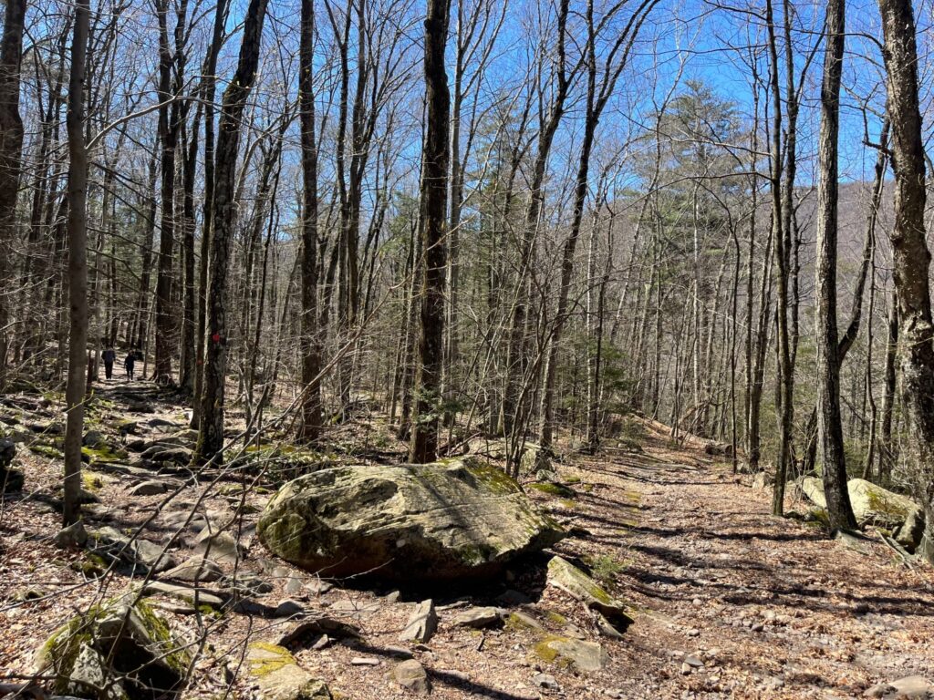 MT. Tremper Fire Tower Hike Catskills Fire Towers