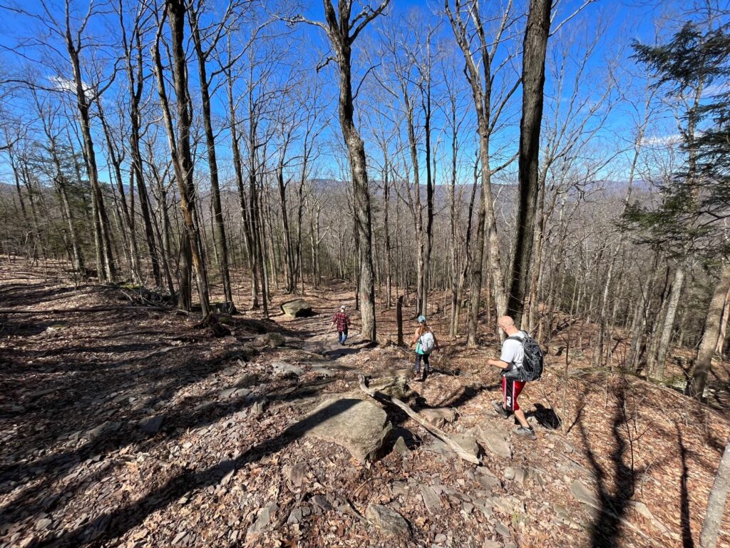 MT. Tremper Fire Tower Hike Catskills Fire Towers