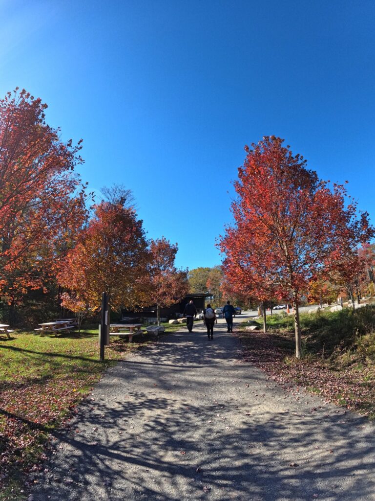 High Peters Kill & Awosting Falls Trail Minnewaska State Park