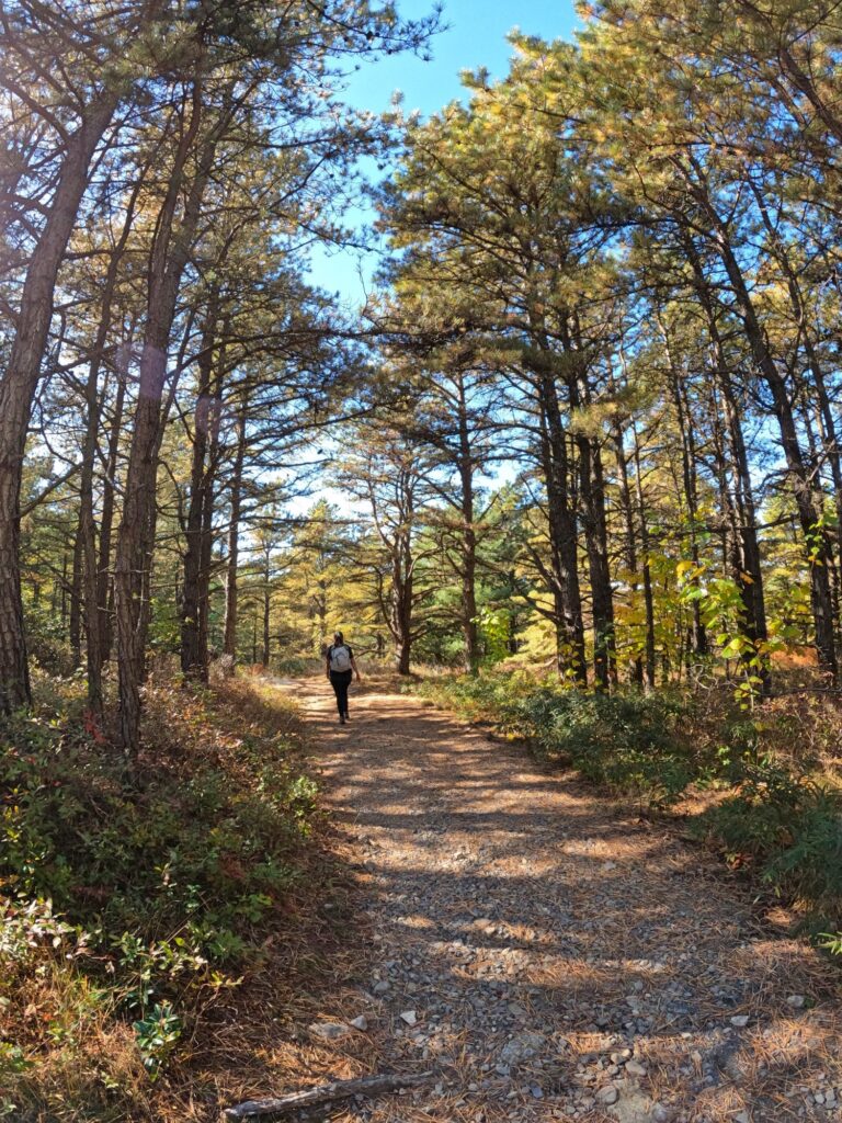 Minnewaska State Park