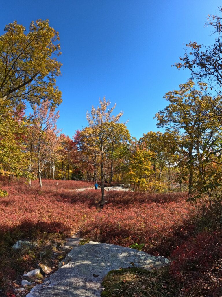 Minnewaska State Park