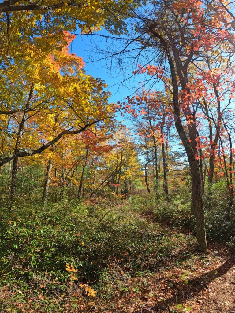 Minnewaska State Park